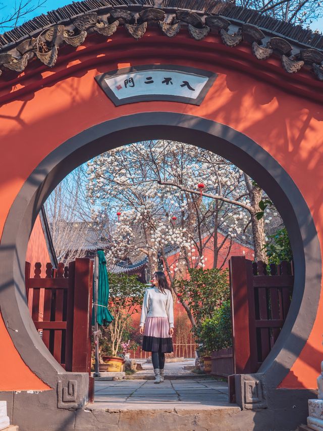 心不雜念去賞花!當玉蘭花遇見清千年古剎清涼寺! 心不雜念去賞花!當玉蘭花遇見清千年古剎清涼寺!