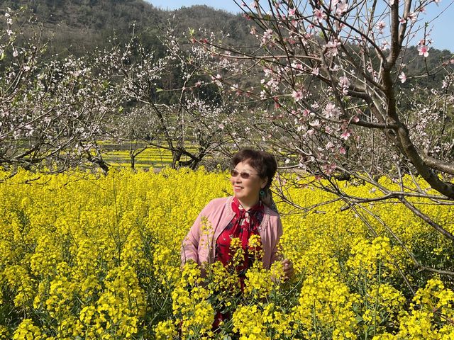 誤入大冶沼山，結果～