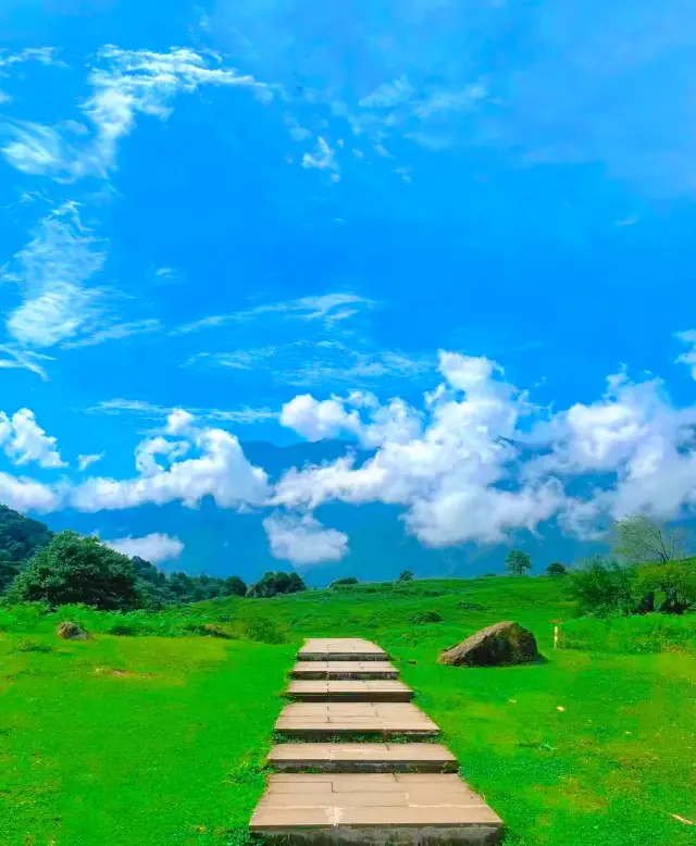 Towards the cloud~ Mali Lengjiu is full of flowers!!!