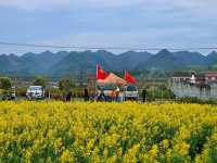 邊走邊看漢中油菜花系列之三：勉縣楊家山村