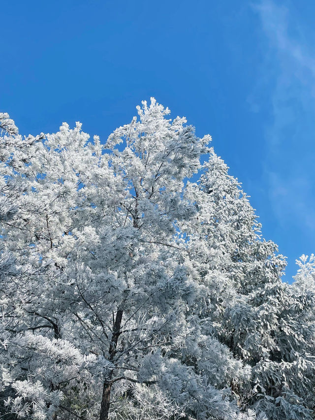 踏雪九仙山｜福建德化兩天一夜自駕遊