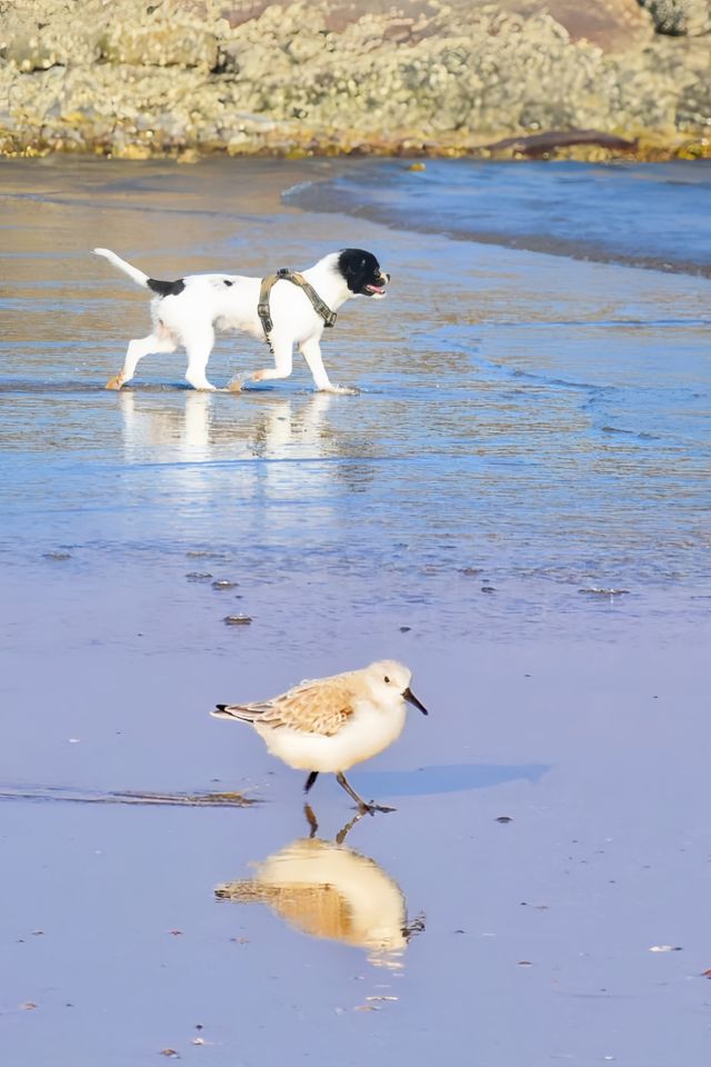 被國家地理安利的‖最美海岸線冷門又有趣
