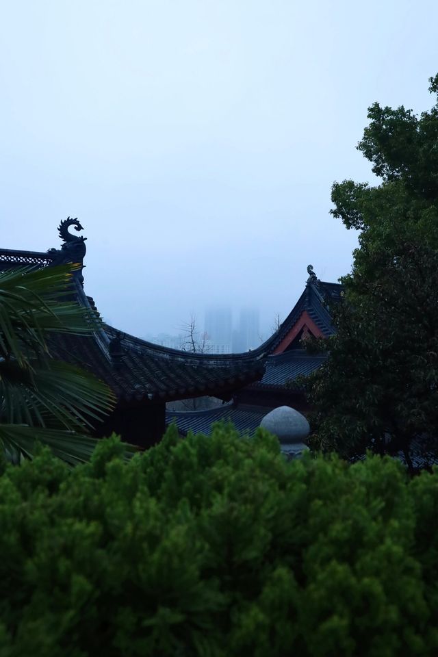 南京鸡鳴寺｜赴一場櫻花盛宴