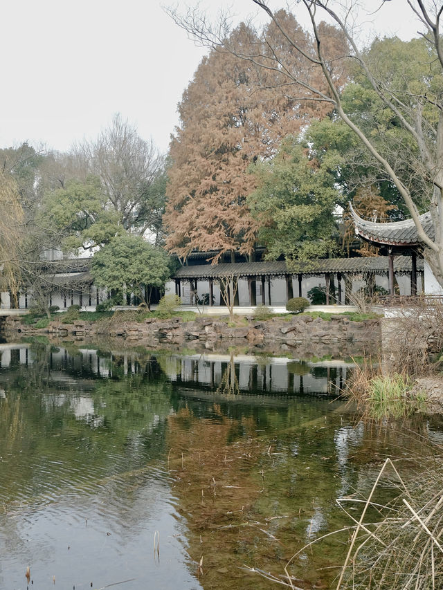 賞梅季節｜太倉南園市區寶藏園林