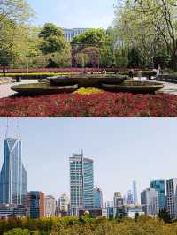 人民公園，你玩真花啊