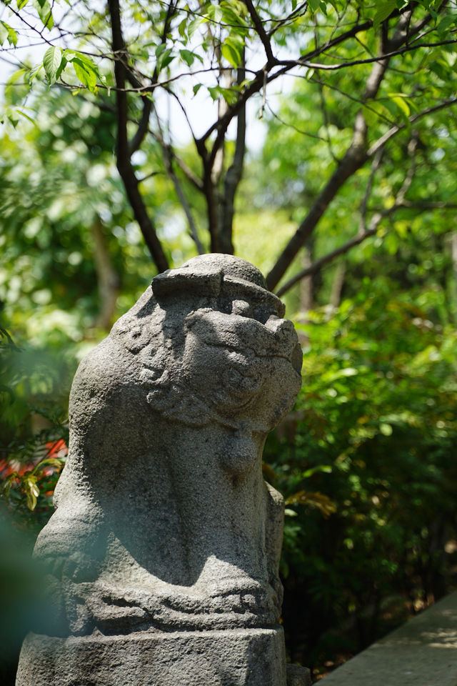 世界文化遺產，千年名刹——泉州開元寺