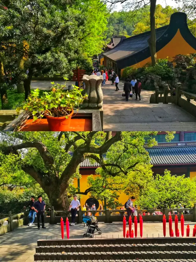 杭州｜來到杭州總要去一趟寺廟靜心吧｜靈隱寺遊玩攻略