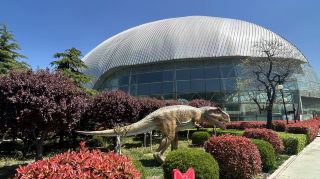 Zhucheng Tyrannosaurus Pavilion