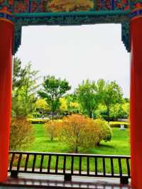 園博園 春及園