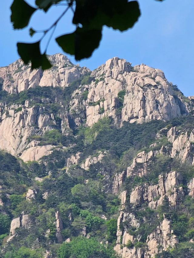 山東泰山｜非常值得爬的一座山