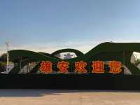 千年大計雄安citywalk