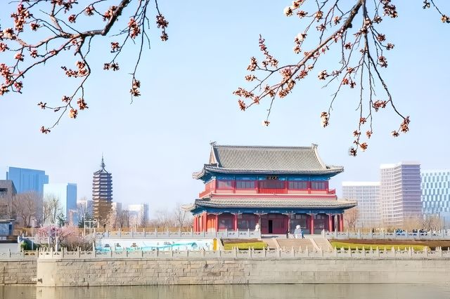 來大運河體驗遊船，看森林公園美麗景色