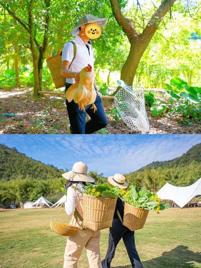 嚮往的古村生活，藏在羅浮山下的歸園田居