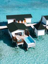 🌴 Maldives Magic: Top Stay at Joy Island 🏖️