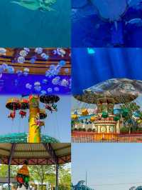 華夏文旅海洋館之旅：歡樂親子時光