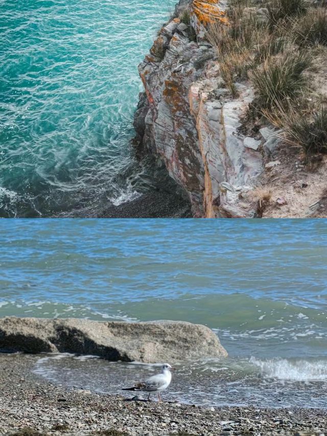 玩青海湖，只去斷崖！