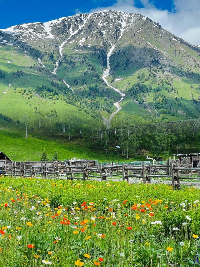 電視劇《我的阿勒泰》拍攝地：高山、草原、湖泊、河流，……