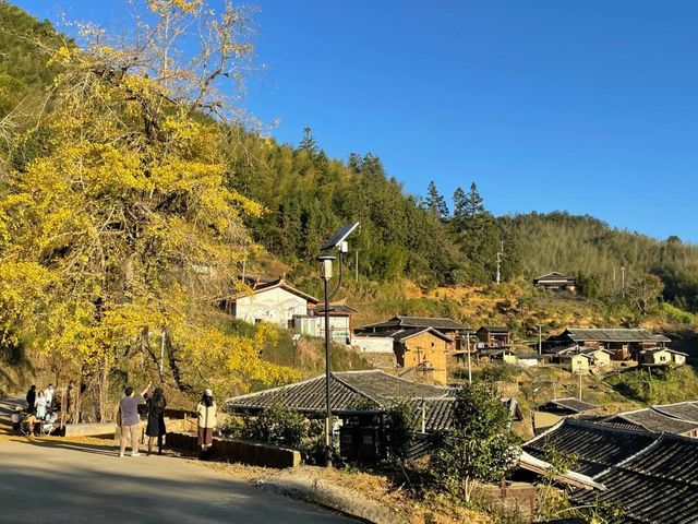 迎著秋意和好日頭，拜訪永泰的村落與莊寨