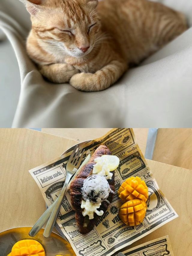 也能找到性價比超高的海邊度假