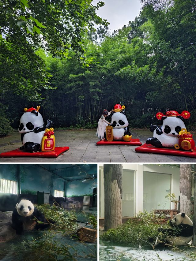 安吉3天2晚親子自駕，說走就走，想停就停