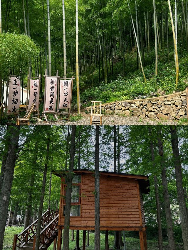 在安吉朋友圈问疯了！都以为我去新疆了|||