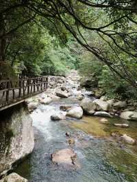 长沙周邊遊 | 株洲神龍谷森林公園