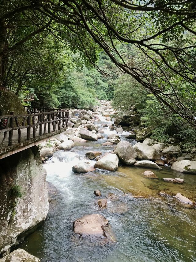 长沙周邊遊 | 株洲神龍谷森林公園