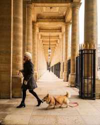 Palais-Royal