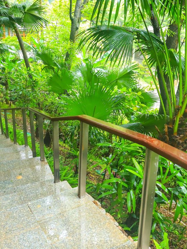 🌿 Guangzhou Getaway: Mountain Villa Magic ✨