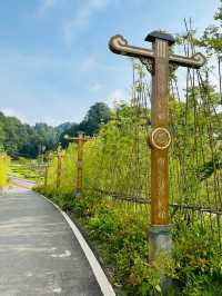 銅鑼壩國家森林公園
