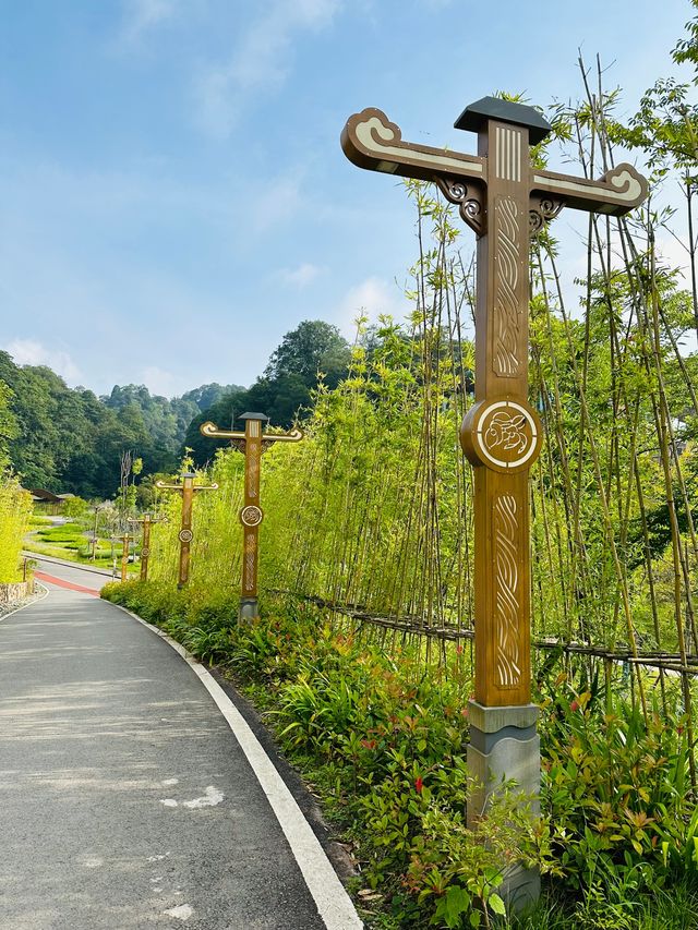 銅鑼壩國家森林公園
