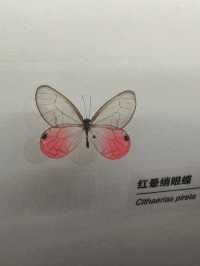 致·好奇心-DK50周年自然百科典藏展