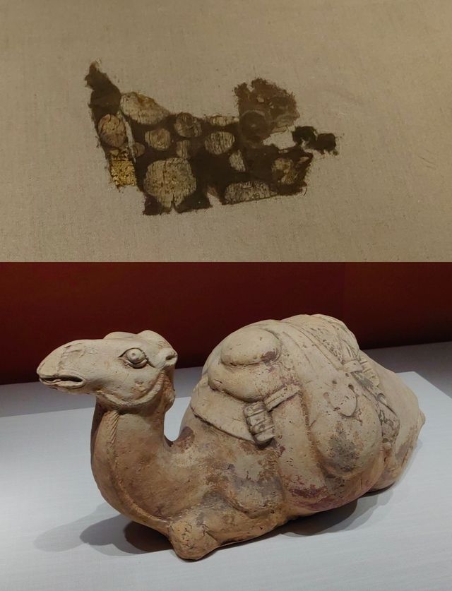 “冀中糧倉”定州，曾是中山國的國都！