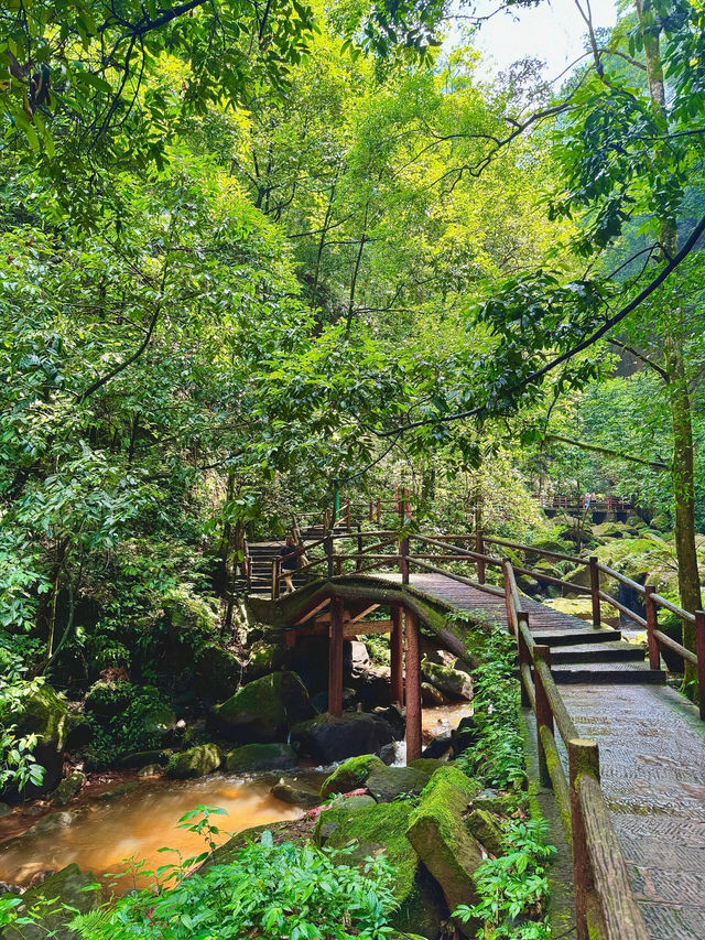 貴州旅遊｜3天2夜遊山玩水鬆弛不特種兵攻略。