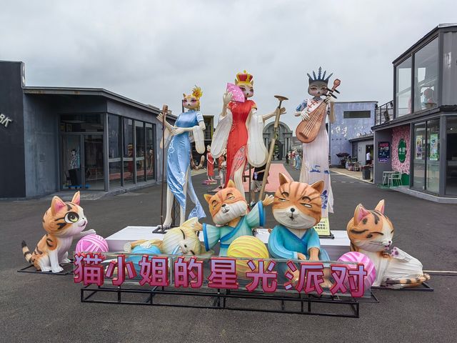 上海影視樂園玩酷大民星。