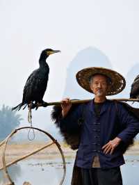 Yangshuo Cormorant Fishing Show: Tradition on the Water