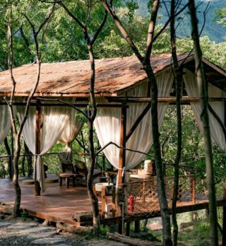 長沙周邊新發現～躺平遛娃的避世森林秘境。