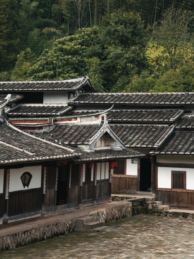 沙縣並非只有美食原來此地旅遊才是真正的寶藏。 沙縣並非只有美食原來此地旅遊才是真正的寶藏。