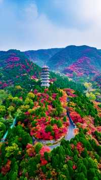 天啊！山東濟南還有這麼美的地方，秋日童話。