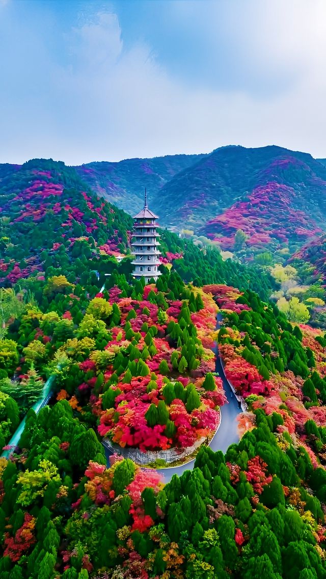 天啊！山東濟南還有這麼美的地方，秋日童話。
