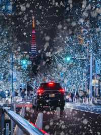 Planning to Spend Christmas in Tokyo, Japan?