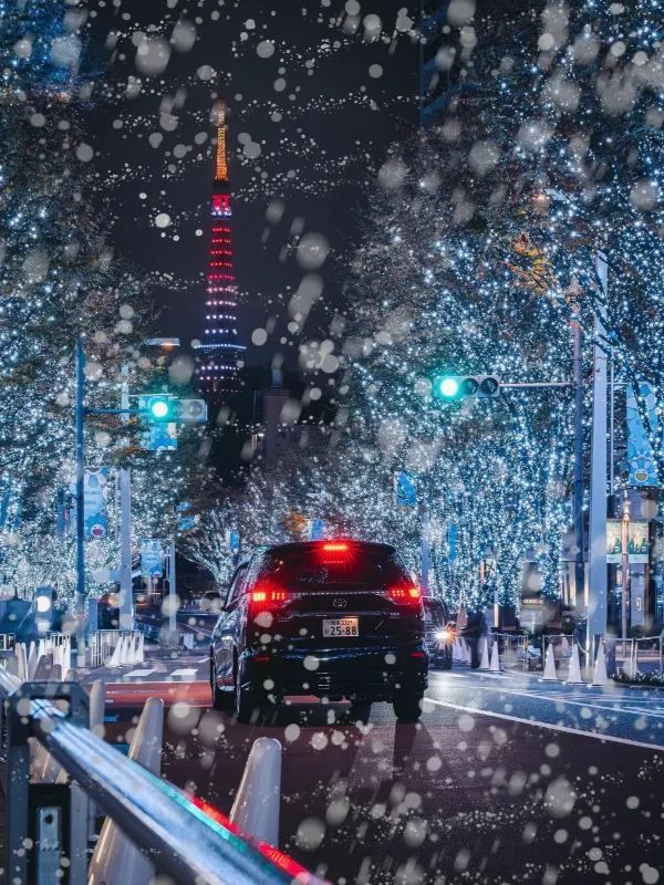 Planning to Spend Christmas in Tokyo, Japan?