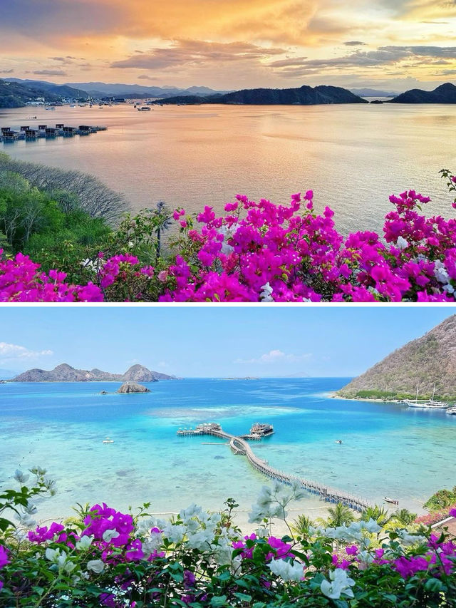 小眾而多樣的海島度假—AYANA Komodo Resort。