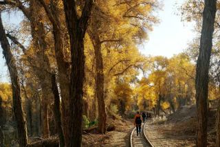 Southern Xinjiang: Trekking in the Tatar Secret Land (A Set of Four Poems).