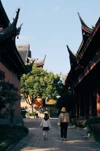 莊嚴寺銀杏｜看過了，馬上就到醉美時刻了。