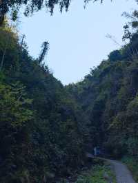 《神龍潭瀑布：探秘自然奇境，暢享山水逸趣之旅》。
