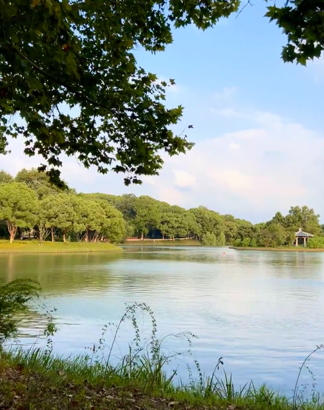 蕪湖小瑞士！！（神山公園版）。