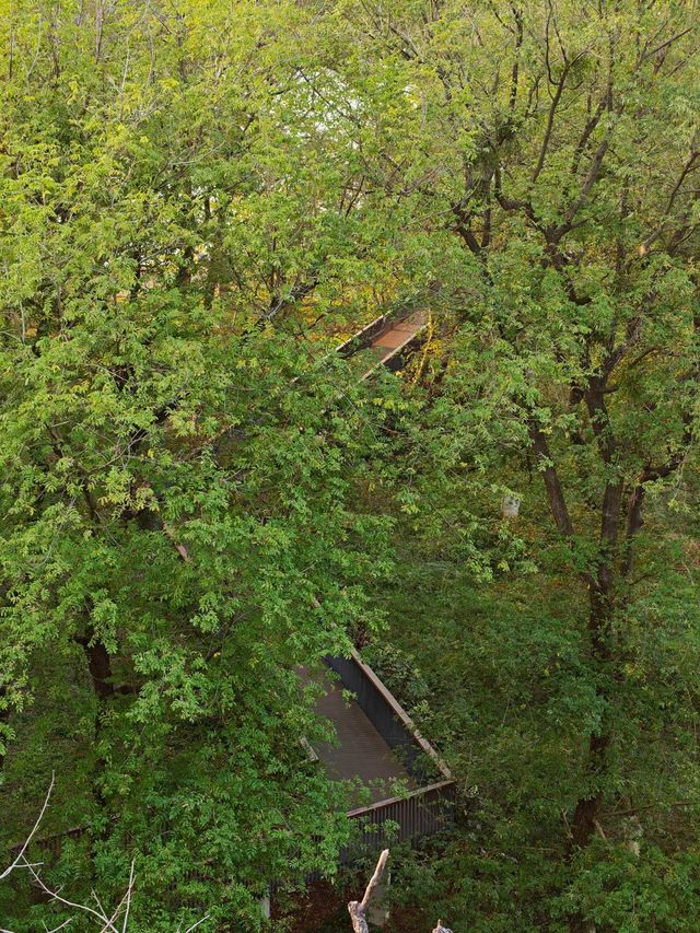 桃源雙洲公園，這樣拍，真的出片！