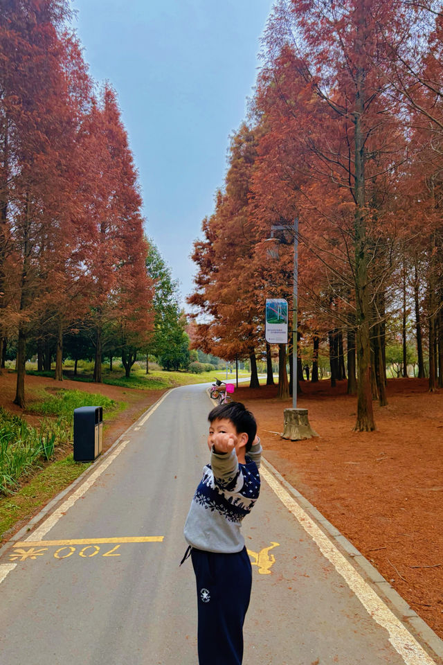 冬日一抹暖色，花溪紅樹林的季節邀約