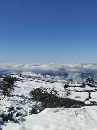 雲南昆明轎子雪山｜治癒你的巍峨壯麗雪世界